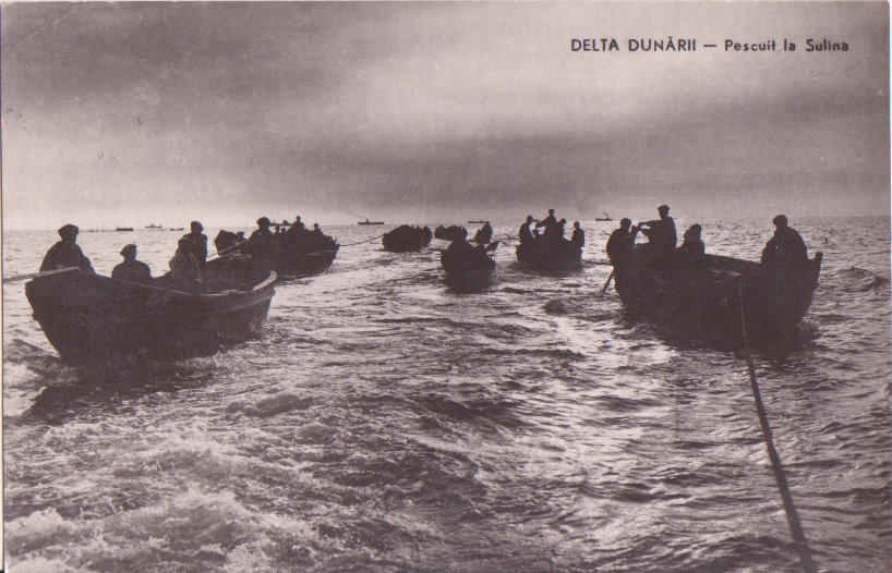 Delta Dunarii pescuit la sulina