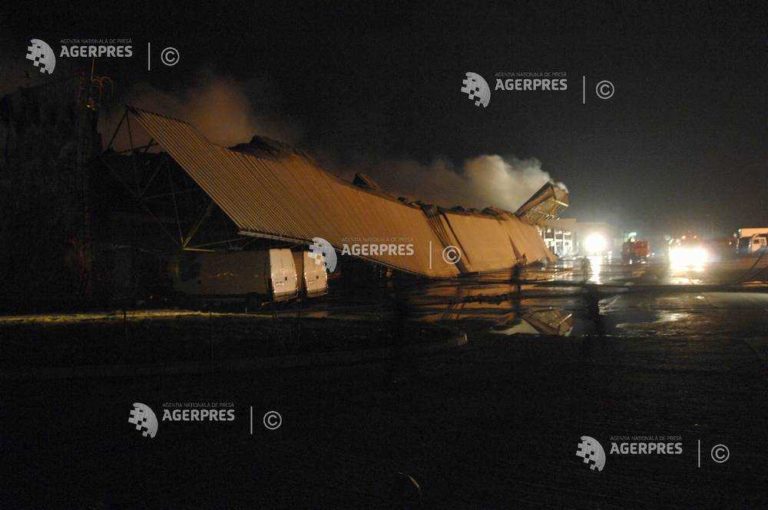 Incendiu în piaţa Delfinului, stins cu intervenţia a 14 ...